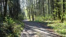  Blick auf die Wanderstrecke 